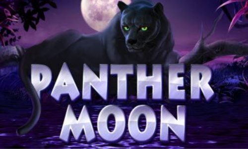 Panther Moon